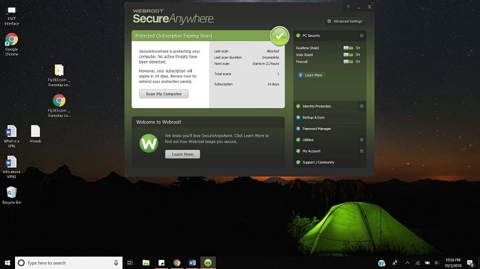 Webroot User Interface as seen on Windows 10